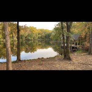 Meet your Posher, Trevor